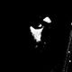 jay_houlihan