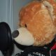 Rocky the Bear