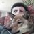 eric_wolheim