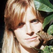 Linda McCartney