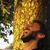 andrea_lamacchia