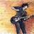 angusyoung200