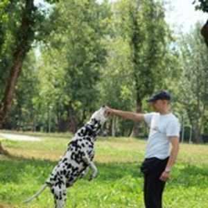 zoran_jancic