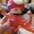 rodrigo_colihuil_rosales
