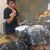 alan_cosio