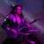 See how Ben Cohen uses Jackson Kelly KE3