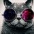 antoine_dorseuil