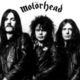 aceofspades1975