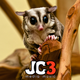 jc3music