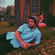 Flamingosis