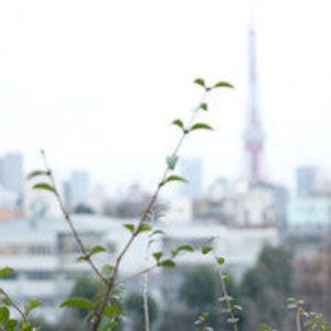 takeshi_sakuma