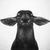 lars_ml