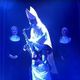 Papa Emeritus zero