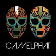 CamelPhat uses 1 Bitwig product