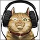 djstevej
