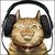 djstevej