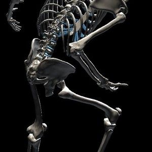 dave_bones