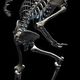 dave_bones