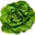 tenchio