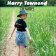 harrytownend