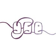YSE uses 1 Iomega product