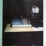 Poladroids