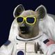 slothy