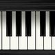 synth1984
