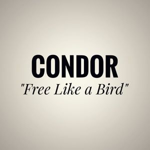 condor