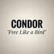 condor