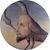 paul_bourget
