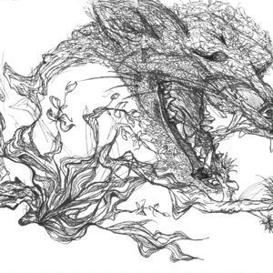 foxtide