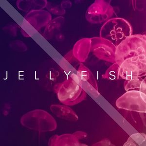 jelly_fish_music