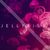 jelly_fish_music