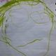 colt_rim_seevers