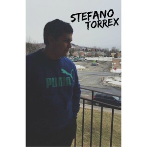 stefanotorrex