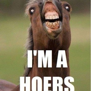 dahhorse