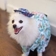 Lil Hank
