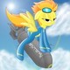 shu77erfly