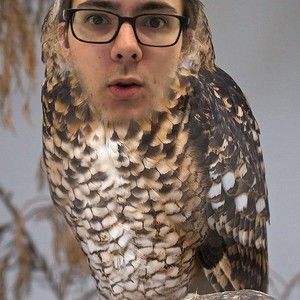 strelecaster