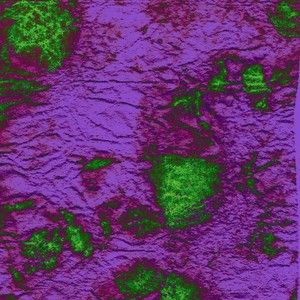 slobuloids