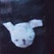 sleazybunny