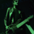 See how Joe Occhiuti uses ESP E-II BTL-4