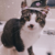 caleb_fficial