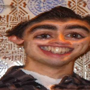 afonsoni