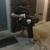 See how Marcus Deal uses Peavey VYPYR VIP 2