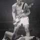 guitartradingmofo