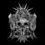 ds_audio