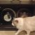 eoin_de_groot