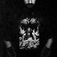 Peter Palmdahl